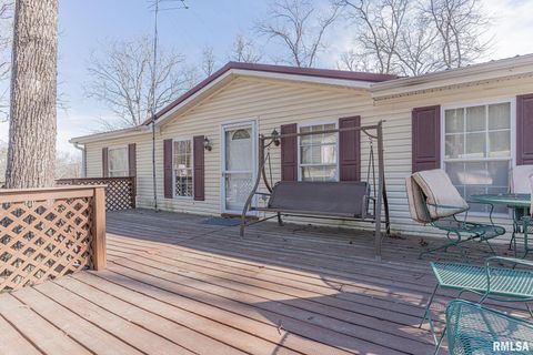 Tiny photo for 565 Dutton Chapel Road, Golconda, IL 62938 (MLS # EB457611)