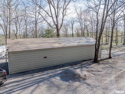 Tiny photo for 565 Dutton Chapel Road, Golconda, IL 62938 (MLS # EB457611)