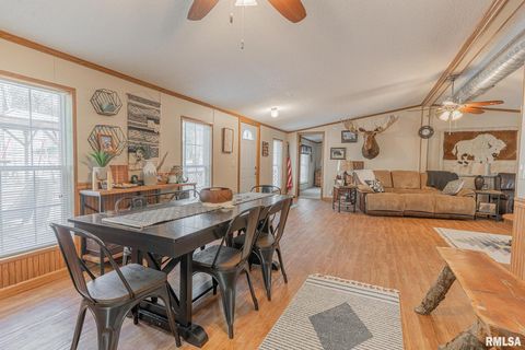 Tiny photo for 565 Dutton Chapel Road, Golconda, IL 62938 (MLS # EB457611)