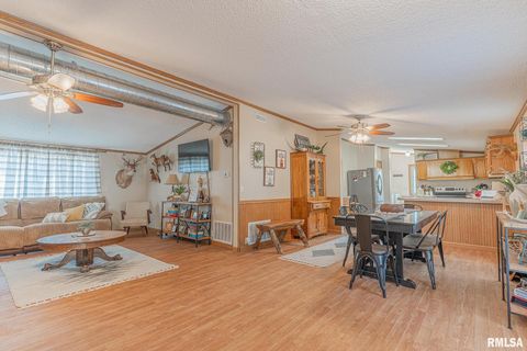 Tiny photo for 565 Dutton Chapel Road, Golconda, IL 62938 (MLS # EB457611)