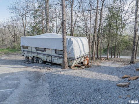 Tiny photo for 565 Dutton Chapel Road, Golconda, IL 62938 (MLS # EB457611)