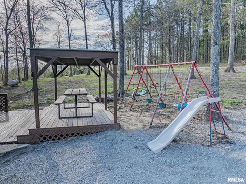 Tiny photo for 565 Dutton Chapel Road, Golconda, IL 62938 (MLS # EB457611)