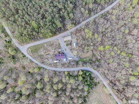 Tiny photo for 565 Dutton Chapel Road, Golconda, IL 62938 (MLS # EB457611)