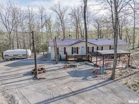 Tiny photo for 565 Dutton Chapel Road, Golconda, IL 62938 (MLS # EB457611)