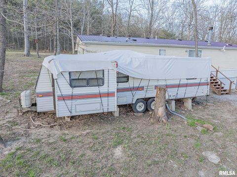 Tiny photo for 565 Dutton Chapel Road, Golconda, IL 62938 (MLS # EB457611)