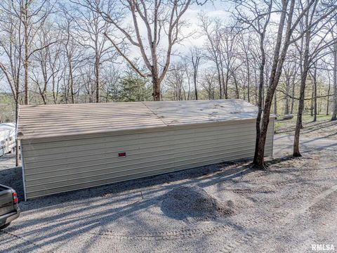 Tiny photo for 565 Dutton Chapel Road, Golconda, IL 62938 (MLS # EB457611)