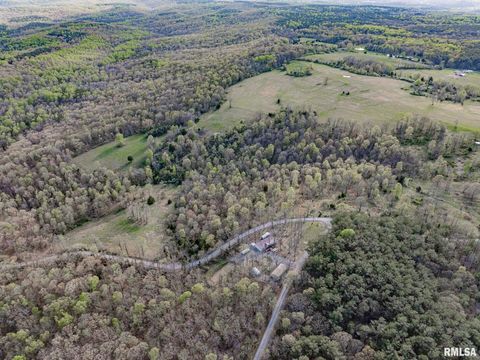 Tiny photo for 565 Dutton Chapel Road, Golconda, IL 62938 (MLS # EB457611)