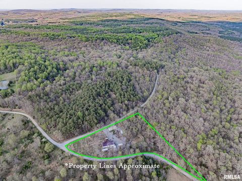 Tiny photo for 565 Dutton Chapel Road, Golconda, IL 62938 (MLS # EB457611)