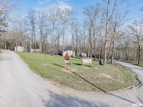 Tiny photo for 565 Dutton Chapel Road, Golconda, IL 62938 (MLS # EB457611)