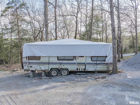 Tiny photo for 565 Dutton Chapel Road, Golconda, IL 62938 (MLS # EB457611)