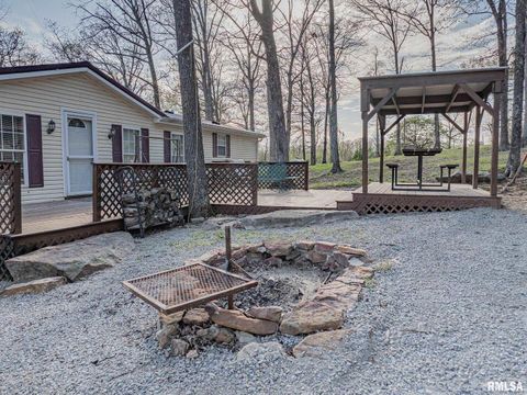 Tiny photo for 565 Dutton Chapel Road, Golconda, IL 62938 (MLS # EB457611)