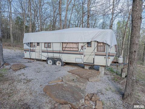 Tiny photo for 565 Dutton Chapel Road, Golconda, IL 62938 (MLS # EB457611)