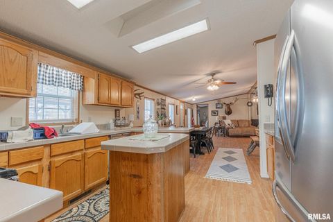 Tiny photo for 565 Dutton Chapel Road, Golconda, IL 62938 (MLS # EB457611)