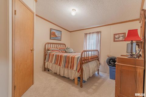 Tiny photo for 565 Dutton Chapel Road, Golconda, IL 62938 (MLS # EB457611)