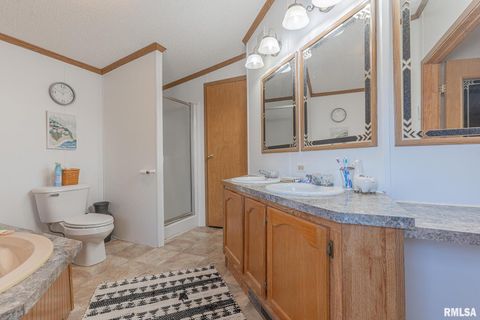 Tiny photo for 565 Dutton Chapel Road, Golconda, IL 62938 (MLS # EB457611)