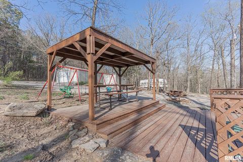 Tiny photo for 565 Dutton Chapel Road, Golconda, IL 62938 (MLS # EB457611)