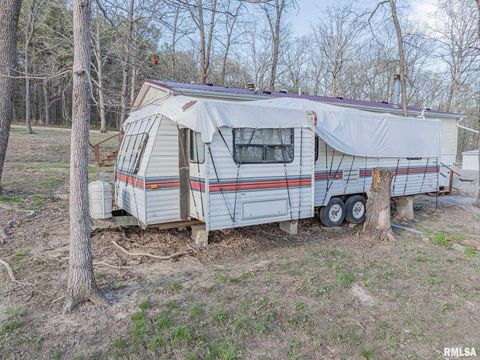 Tiny photo for 565 Dutton Chapel Road, Golconda, IL 62938 (MLS # EB457611)