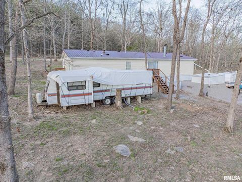 Tiny photo for 565 Dutton Chapel Road, Golconda, IL 62938 (MLS # EB457611)