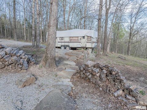 Tiny photo for 565 Dutton Chapel Road, Golconda, IL 62938 (MLS # EB457611)