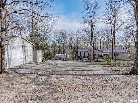 Tiny photo for 565 Dutton Chapel Road, Golconda, IL 62938 (MLS # EB457611)