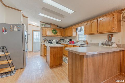 Tiny photo for 565 Dutton Chapel Road, Golconda, IL 62938 (MLS # EB457611)