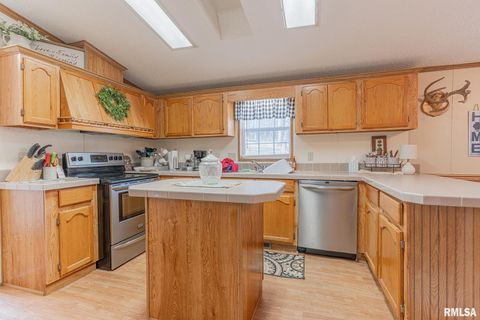 Tiny photo for 565 Dutton Chapel Road, Golconda, IL 62938 (MLS # EB457611)