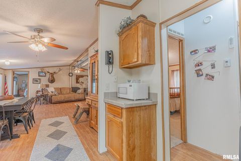 Tiny photo for 565 Dutton Chapel Road, Golconda, IL 62938 (MLS # EB457611)