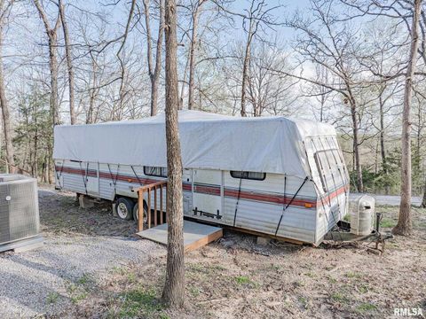 Tiny photo for 565 Dutton Chapel Road, Golconda, IL 62938 (MLS # EB457611)