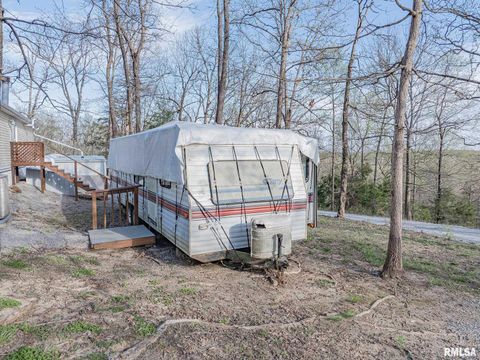 Tiny photo for 565 Dutton Chapel Road, Golconda, IL 62938 (MLS # EB457611)