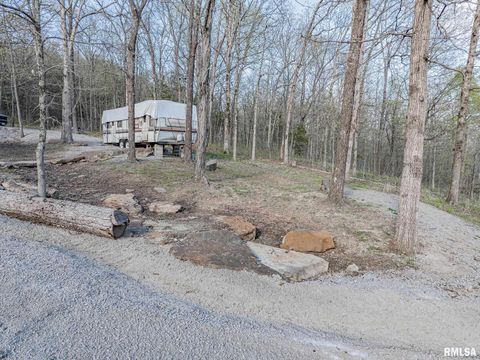 Tiny photo for 565 Dutton Chapel Road, Golconda, IL 62938 (MLS # EB457611)