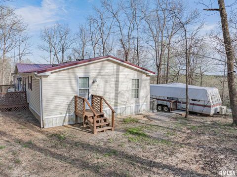 Tiny photo for 565 Dutton Chapel Road, Golconda, IL 62938 (MLS # EB457611)