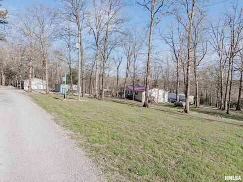 Tiny photo for 565 Dutton Chapel Road, Golconda, IL 62938 (MLS # EB457611)