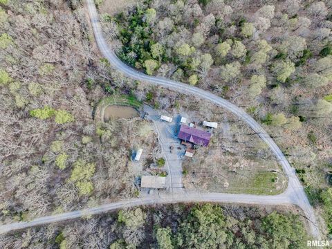 Tiny photo for 565 Dutton Chapel Road, Golconda, IL 62938 (MLS # EB457611)