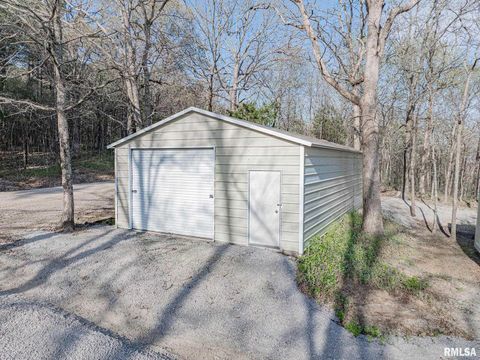 Tiny photo for 565 Dutton Chapel Road, Golconda, IL 62938 (MLS # EB457611)