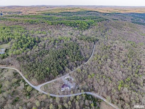 Tiny photo for 565 Dutton Chapel Road, Golconda, IL 62938 (MLS # EB457611)