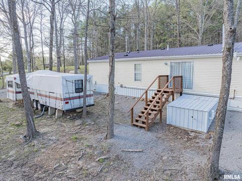 Tiny photo for 565 Dutton Chapel Road, Golconda, IL 62938 (MLS # EB457611)