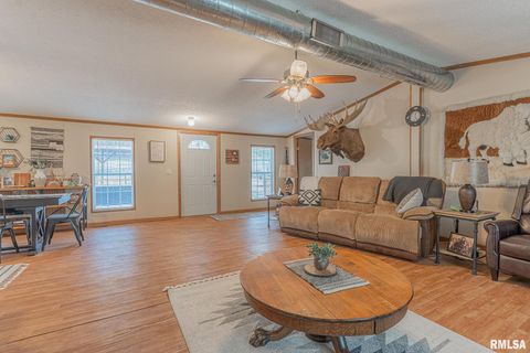 Tiny photo for 565 Dutton Chapel Road, Golconda, IL 62938 (MLS # EB457611)