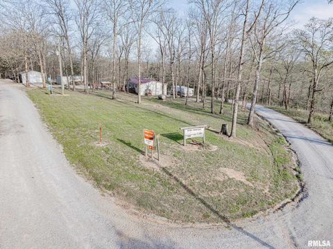 Tiny photo for 565 Dutton Chapel Road, Golconda, IL 62938 (MLS # EB457611)