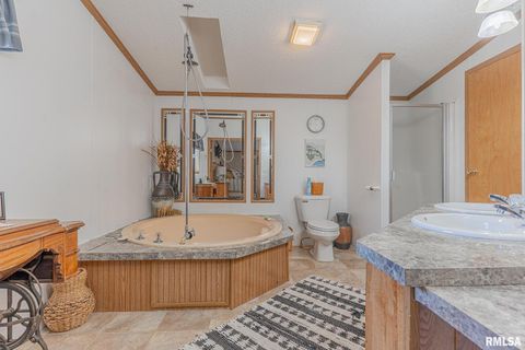 Tiny photo for 565 Dutton Chapel Road, Golconda, IL 62938 (MLS # EB457611)