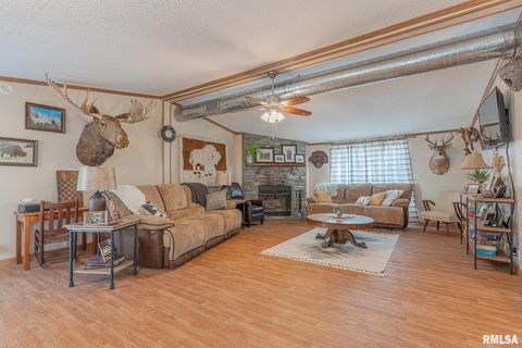 Tiny photo for 565 Dutton Chapel Road, Golconda, IL 62938 (MLS # EB457611)