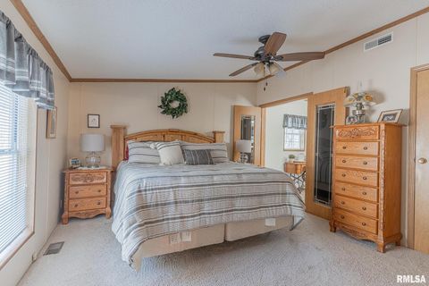 Tiny photo for 565 Dutton Chapel Road, Golconda, IL 62938 (MLS # EB457611)