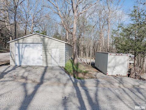 Tiny photo for 565 Dutton Chapel Road, Golconda, IL 62938 (MLS # EB457611)