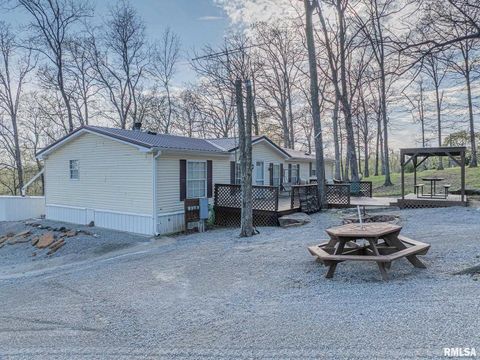 Tiny photo for 565 Dutton Chapel Road, Golconda, IL 62938 (MLS # EB457611)