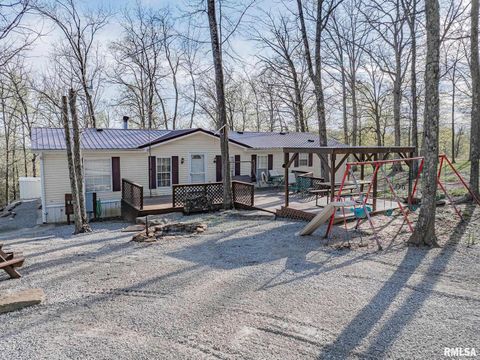 Tiny photo for 565 Dutton Chapel Road, Golconda, IL 62938 (MLS # EB457611)