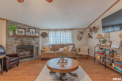 Tiny photo for 565 Dutton Chapel Road, Golconda, IL 62938 (MLS # EB457611)