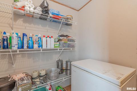 Tiny photo for 565 Dutton Chapel Road, Golconda, IL 62938 (MLS # EB457611)