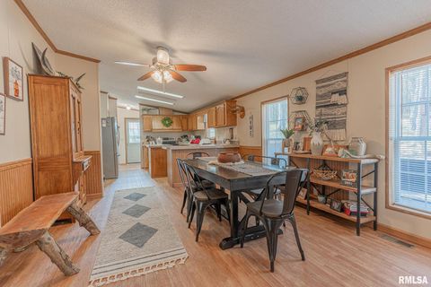 Tiny photo for 565 Dutton Chapel Road, Golconda, IL 62938 (MLS # EB457611)