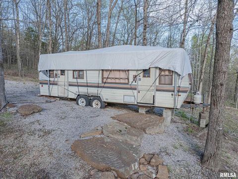 Tiny photo for 565 Dutton Chapel Road, Golconda, IL 62938 (MLS # EB457611)