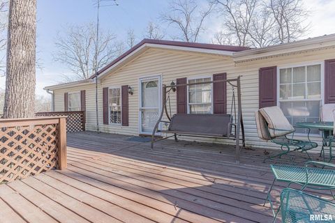 Tiny photo for 565 Dutton Chapel Road, Golconda, IL 62938 (MLS # EB457611)