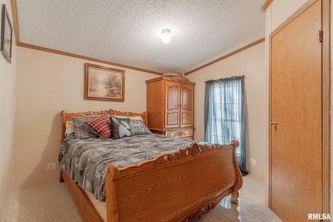 Tiny photo for 565 Dutton Chapel Road, Golconda, IL 62938 (MLS # EB457611)